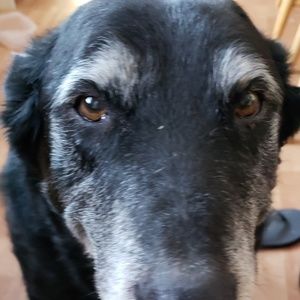 Meet your Posher, Kara